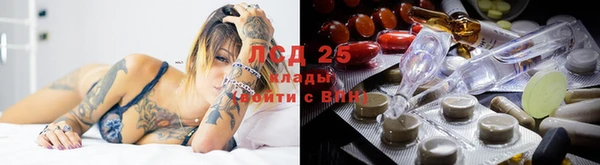 таблы Алзамай