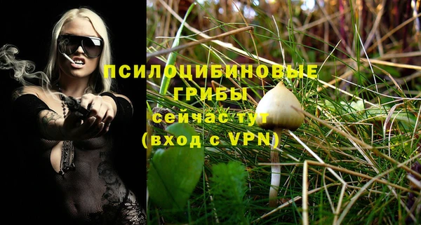 гидропоника Алексеевка