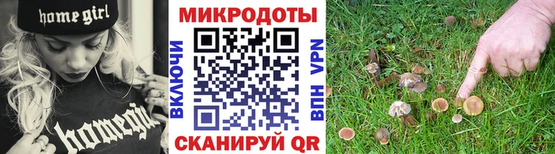 Псилоцибиновые грибы Magic Shrooms  Амурск 